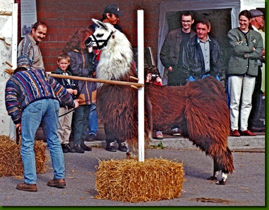 LamahengsteBearington